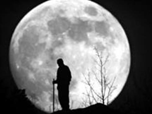 Search4Crumbs tweet media