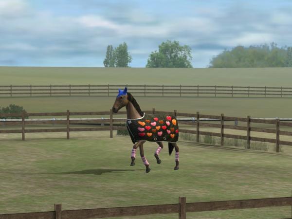 HorsesEllie's tweet photo. Check out my photo! Add me, Horsecharm. #MyHorse http://t.co/KxVJCv5H http://t.co/L7OXx1gg