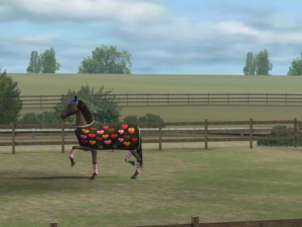 HorsesEllie's tweet photo. Check out my photo! Add me, Horsecharm. #MyHorse http://t.co/KxVJCv5H http://t.co/kcgq5AzR