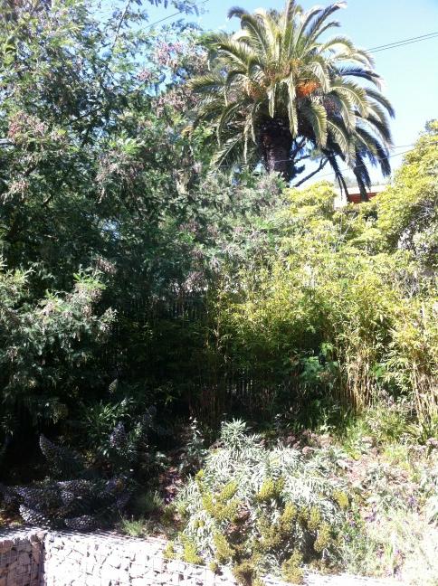 gebarch's tweet image. 5 Hillcrest master bedroom vuew