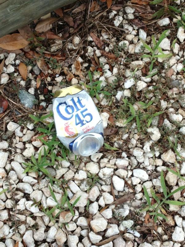 mlgrundhoefer's tweet photo. Only in the parking lot at shands... http://t.co/22taCqQM