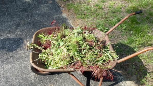 eekrano's tweet image. Arg, pic