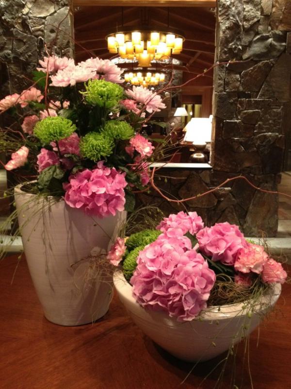 SenkaFlorist's tweet photo. Mother's Day display at Four Seasons Resort.
Mums, Carnations, &amp; Hydrangeas http://t.co/nlIpgU8C