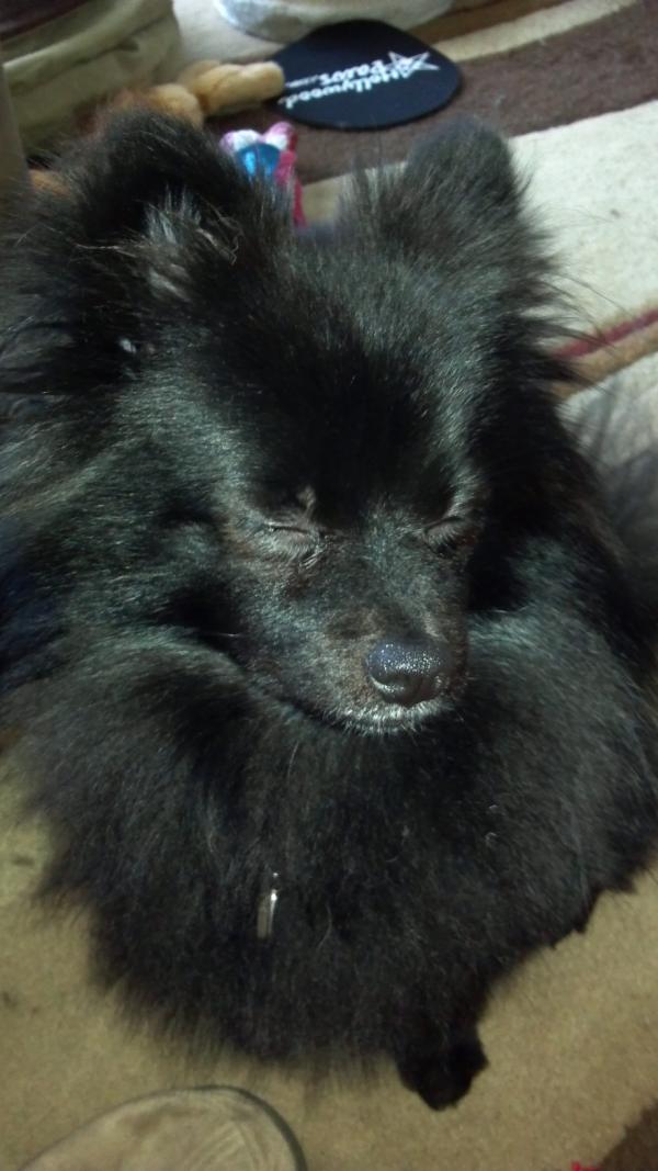 AlyciaStark's tweet photo. http://t.co/CqC60QiR
