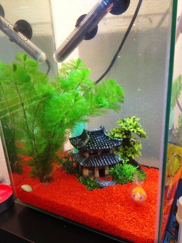 Japwow's tweet image. Happy #eightzeroeight studio fish. Helping me work