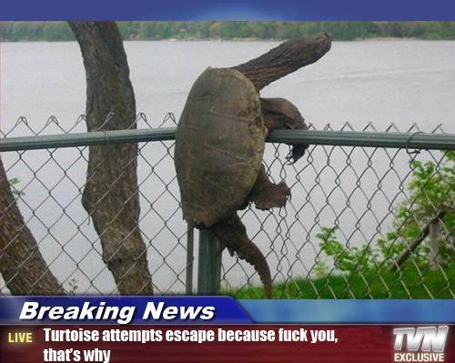 violentPie's tweet photo. Sometimes reasonable reasons are without any reason but reasonable. http://t.co/7YDaKMEW