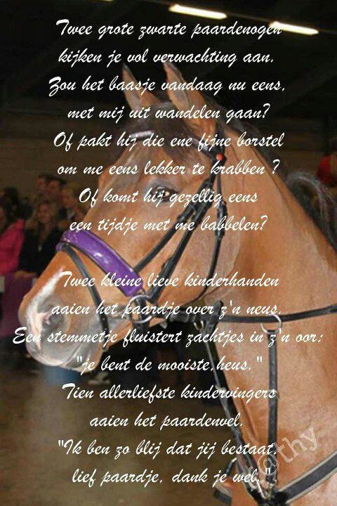 DLieverloo's tweet image. 