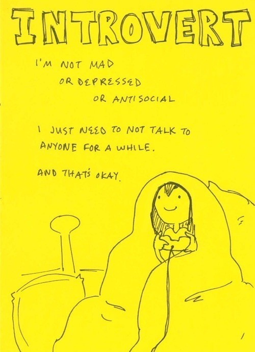 chandlerxcastle's tweet image. Hahaha seriously, though.  #sorryimnotsorry #introvertprobz