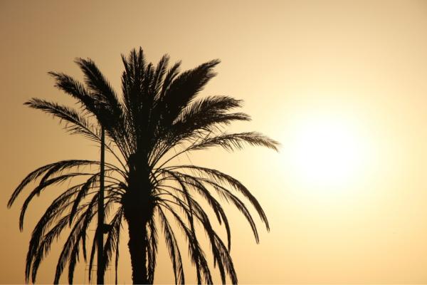 3liShaya's tweet photo. #غرد_بصورة
بعدستي المتواضعھ http://t.co/WvR8cuBU