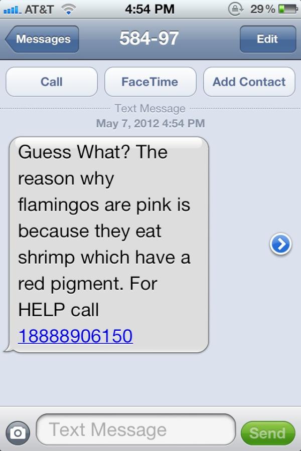 inn0centharambe's tweet image. #ummalright #forhelp?