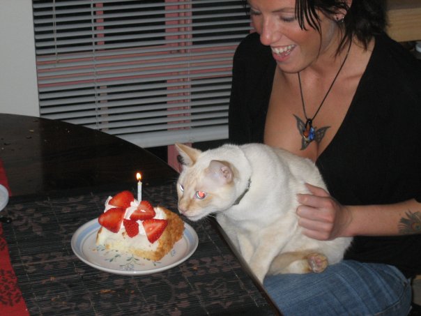 #Humboldt County Amber alert! #lostcat - my little son, Moses is lost somewhere in #Arcata, CA - retweet/repost<a href="/tag/humboldt"class="tags">#Humboldt</a><a href="/tag/lostcat"class="tags">#lostcat</a><a href="/tag/arcata"class="tags"><span>#arcata</span></a>