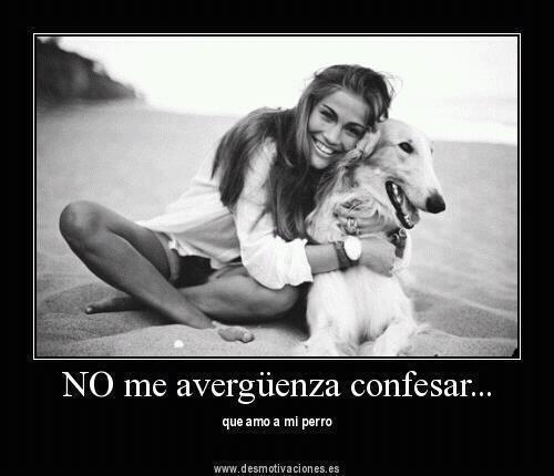 Sandyabel's tweet image. "@Porla_PazAnimal: No me Avergüenza #Confesar que AMO a mi #Perro //^.^\\ http://t.co/7CngRssr"  /y a mi gato tambien!!
