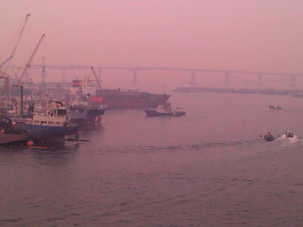 fall_simon's tweet image. 자갈치 시장 전망대에서  평화를 느끼며...