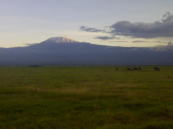 magicalkenya's tweet photo. "@arlanolingo: Lovely view of Mt Kilimanjaro with elephants in the backdrop shot from my phone cc @muriux #tembeakenya http://t.co/hu7GP0nq"