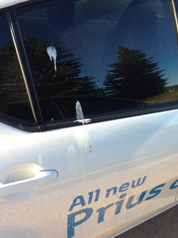 LukeMitchell__'s tweet photo. until I realized why he was laughing...
and #WayneThePrius not so much! http://t.co/9qg9dot8