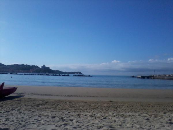 SimoSafer tweet picture