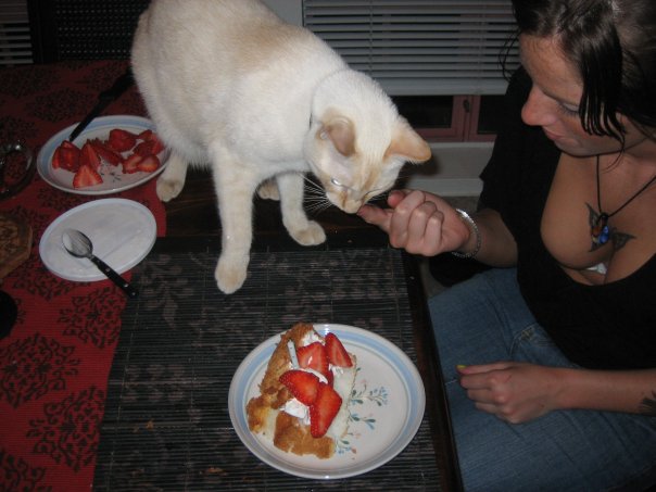 #Prayers worked! my baby Moses is back!  after 6 days/nights gone. #foundmycat #Humboldt #love &amp; thanks<a href="/tag/prayers"class="tags">#Prayers</a><a href="/tag/love"class="tags"><span>#love</span></a><a href="/tag/humboldt"class="tags"><span>#humboldt</span></a><a href="/tag/foundmycat"class="tags"><span>#foundmycat</span></a>