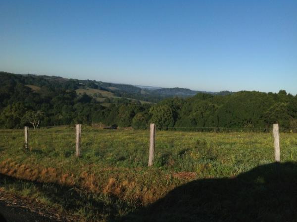 What a beautiful day for roasting coffee!