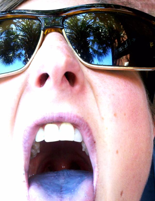 wolfantasea's tweet image. sooo many blueberries #tidalcreek