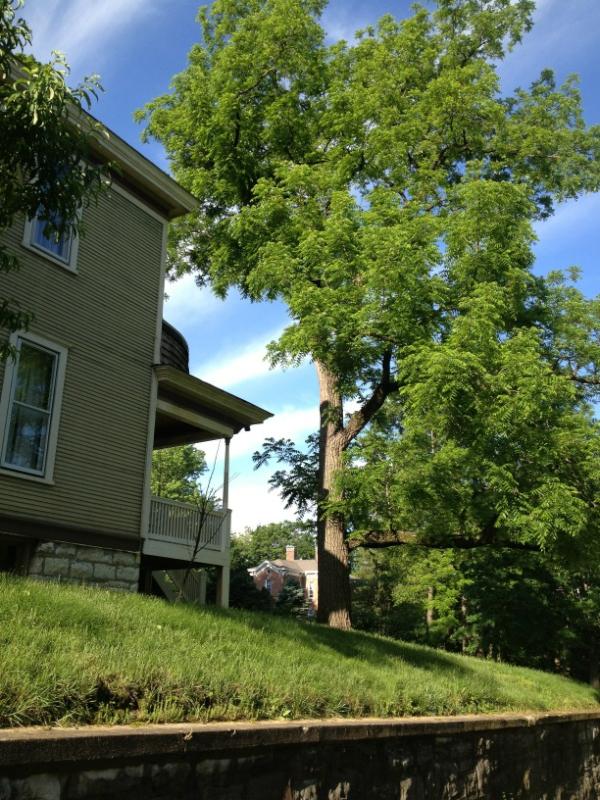ArborManagement tweet picture