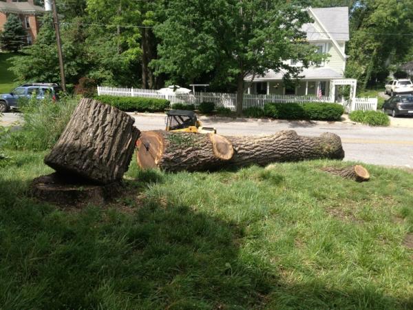 ArborManagement tweet picture