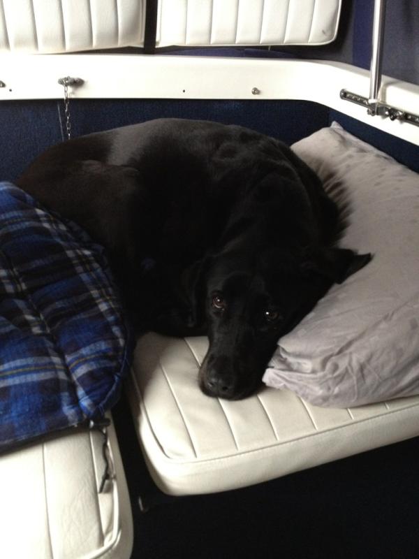 Alex Hammond tweet media