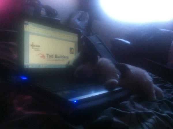 Danielle Duncan tweet media