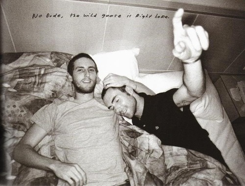 ivyncandescent's tweet photo. "no dude the wild goose is right here " ?!? Lol ! I love them ! http://t.co/kZrAbIji