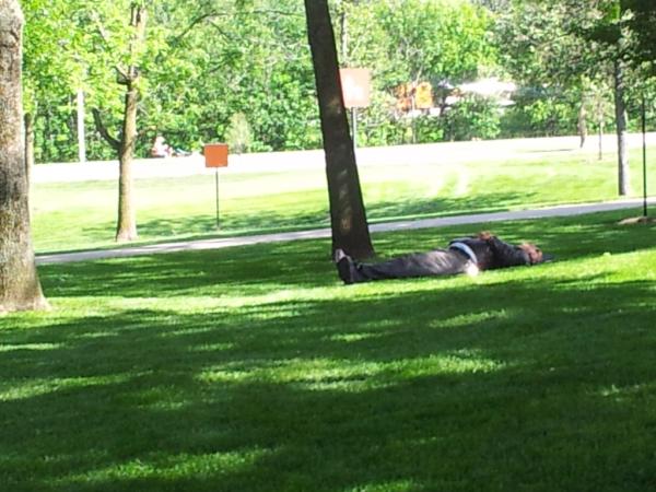 sinbad418's tweet image. Crank tht homeless man #SpringfieldTrip