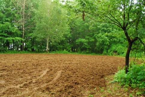 A freshly tilled food plot ready for seedbed preparation and seeding. All done with McCormick tractors and attachments.