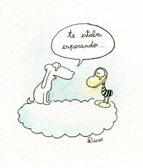 MariaCeciliaO's tweet photo. ADIÓS #CLEMENTE TE VAMOS A EXTRAÑAR http://t.co/rrYpOTH9