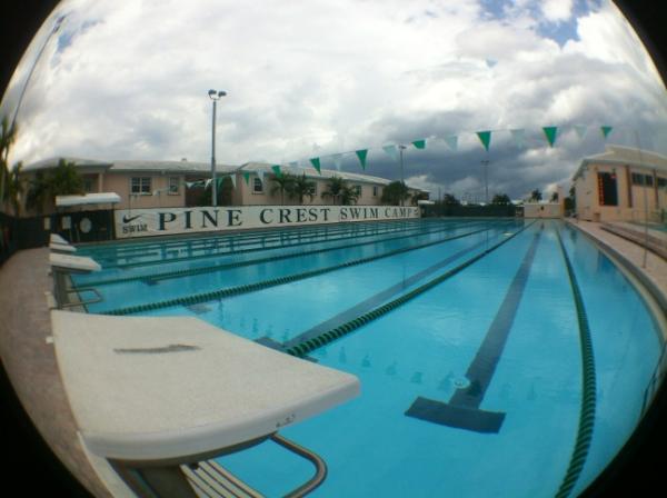 PineCrestSwim's tweet image. Check out our #poolpic today! Let's get swimming!
