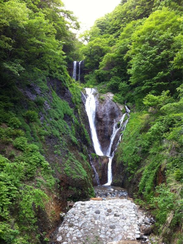 울릉 봉래폭포입니다. 울릉 주민의 식수로 쓰인답니다.