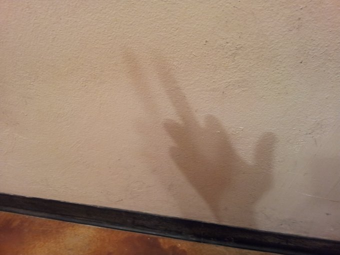 Layden Sinn’s pics and videos