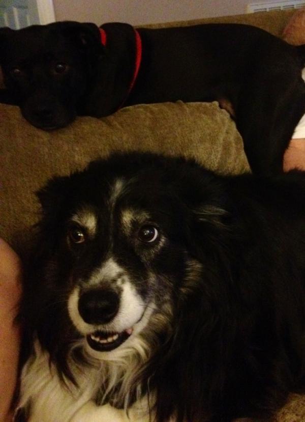 KayArePea's tweet image. Check out how these sluts sit on the couch #socodependent