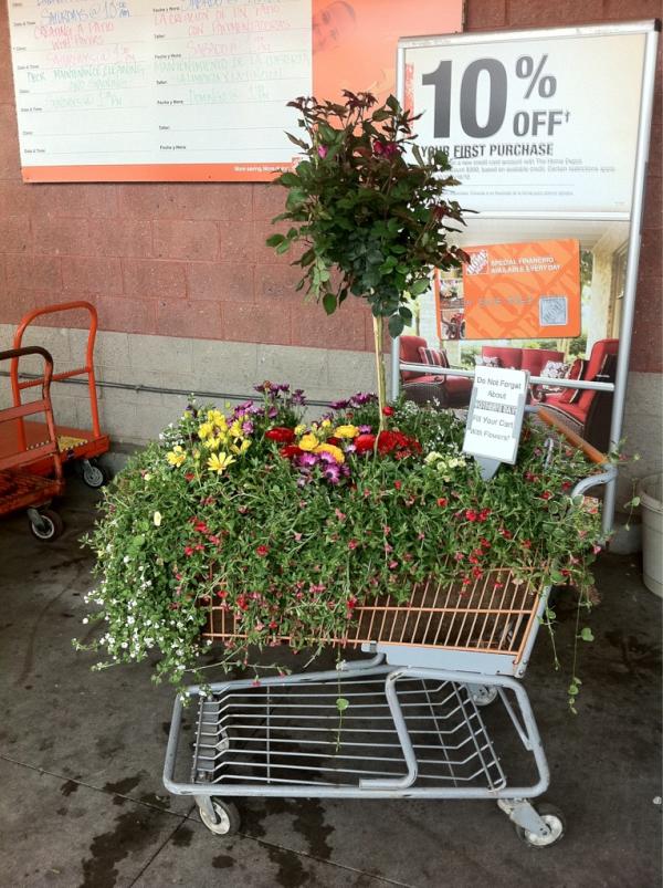 Are you ready for Mother's Day?  We are.  <a href="/HomeDepot/">The Home Depot</a> #flowers #MothersDay