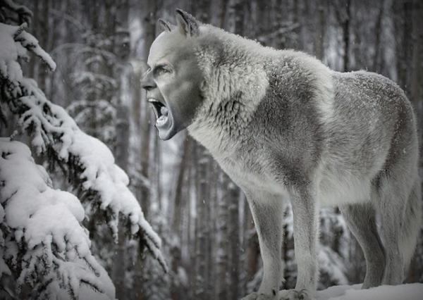 Delighted to be appointed as the new Wolves-manager. I believe I’m the right man for the job, Wolves run in my blood.