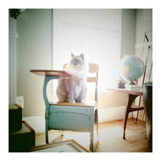 hello_dot's tweet image. Lewis goes to school.