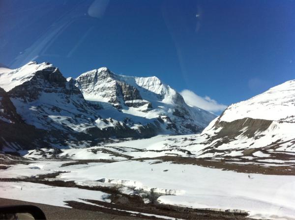 PeterGrobauer tweet picture