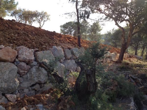 La semana que viene acabamos el muro y el parking, en breve comenzaremos con la jardinería.