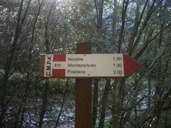 AlbertValenti's tweet photo. Path of the Gods
(Positano, Italy) http://t.co/X5WPME7o