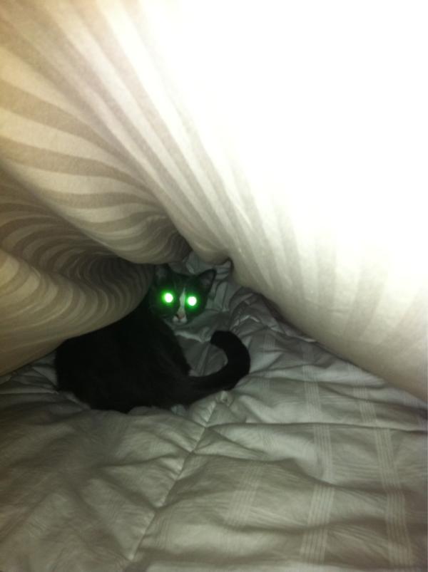 Ecromp tweet picture