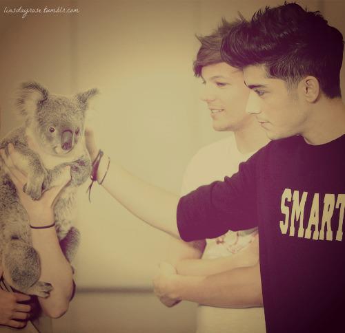 OneDirectionOfficial tweet media