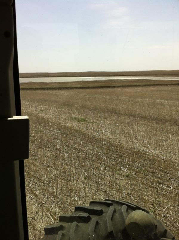 SKC022282's tweet image. These sloughs really cut into my twitter time!!   #upandback #roundandround #plant12