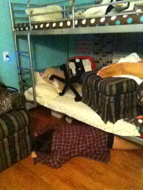 raw_cats tweet picture