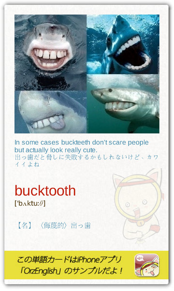 MartinPooo's tweet image. これでも十分怖いよ（笑）お前、出っ歯だな、って言うときはyou have buckteeth.、もしくはyou are Bucktoothed.個人的なイメージだが、西洋の漫画やアニメには出っ歯キャラが多く登場する気がする。