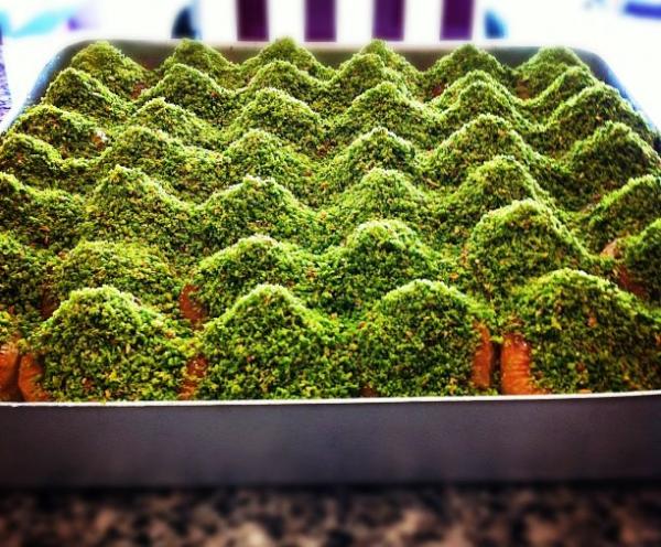 ParkTatli's tweet image. Bol Fıstıklı, Az Şekerli Bülbül Yuvası Tatmaya Hazır...