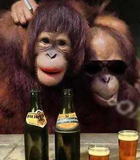 Kabrinis's tweet photo. Female Human Mating Rituals…The Pheromone Approach.. http://t.co/iH0lcLJO http://t.co/QqDRMKnd