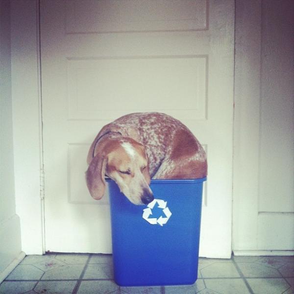 Instahot's tweet photo. Do not recycle by thiswildidea on http://t.co/oTDyhVuu http://t.co/RF2INkVX