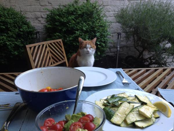 KatMayer1979's tweet photo. BBQ time http://t.co/N9i0mELU